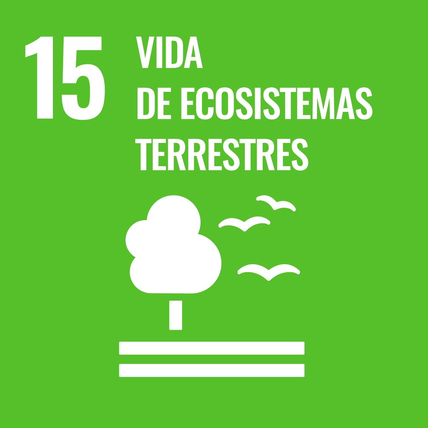 ODS-15 Vida de Ecosistemas Terrestres